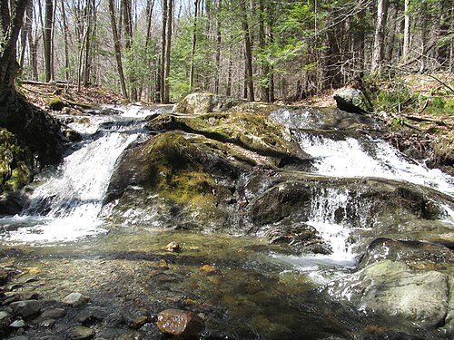 Savoy Mountain State Forest